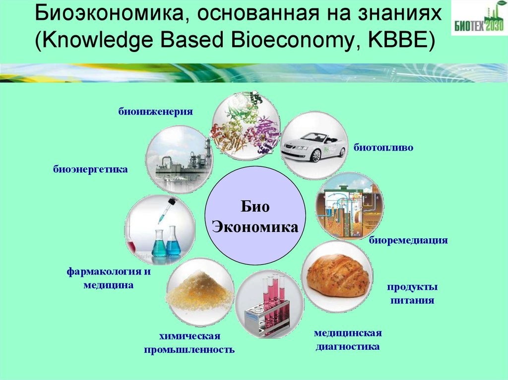 Биоэкономика основанная на знаниях